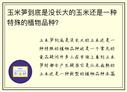 玉米笋到底是没长大的玉米还是一种特殊的植物品种?