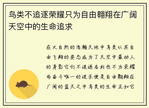 鸟类不追逐荣耀只为自由翱翔在广阔天空中的生命追求